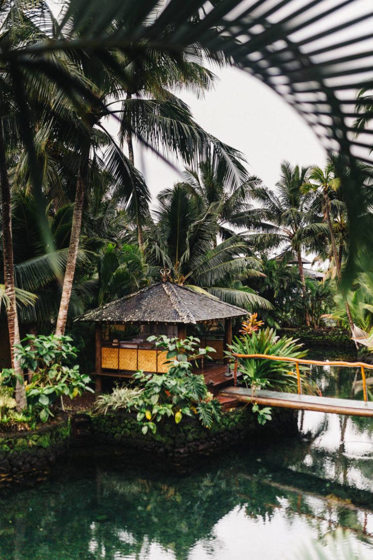 Why Apple Should Skip The MacBook Pro Launch